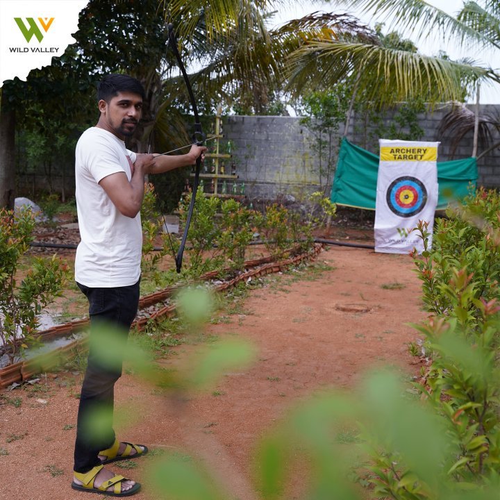 Wild Valley Mountain Bear