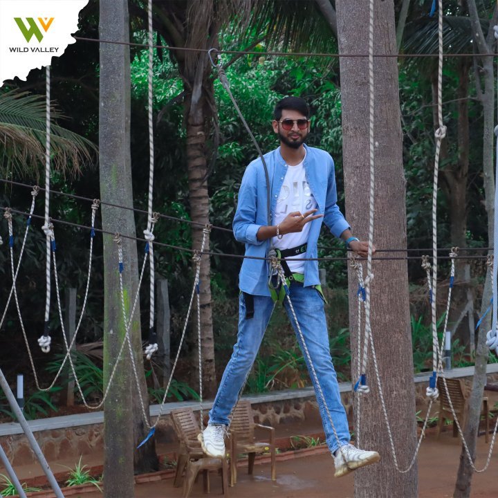 Wild Valley Mountain Bear