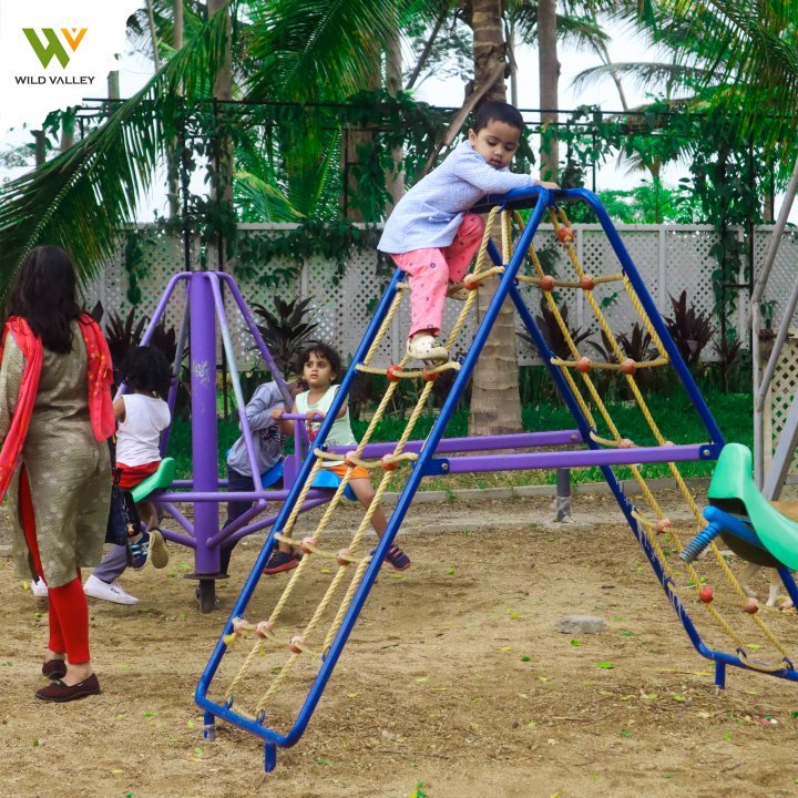 Wild Valley Mountain Bear