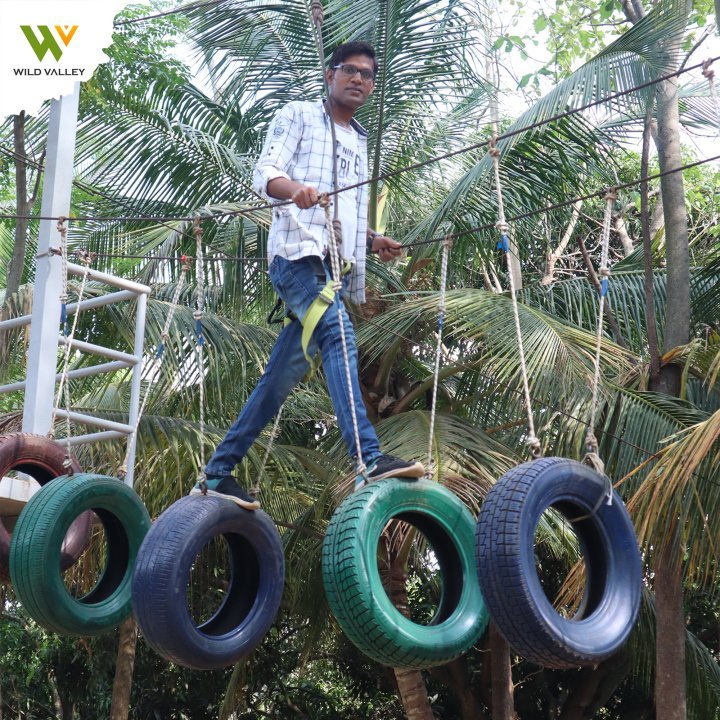 Wild Valley Mountain Bear - Image 6