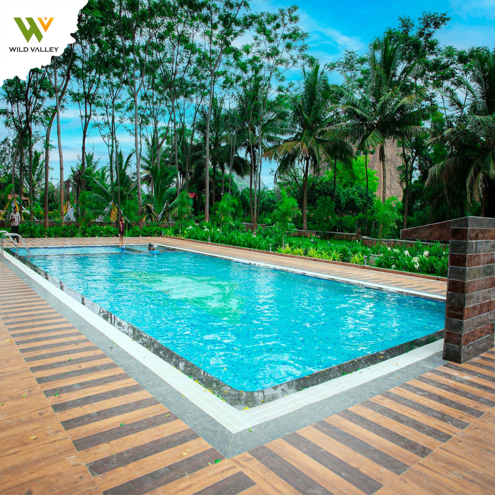 Mountain Bear Day Out