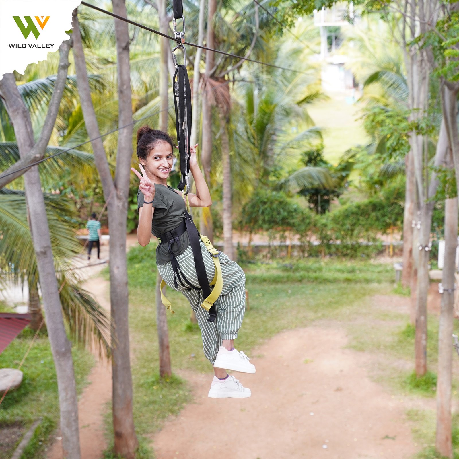 Mountain Bear Day Out