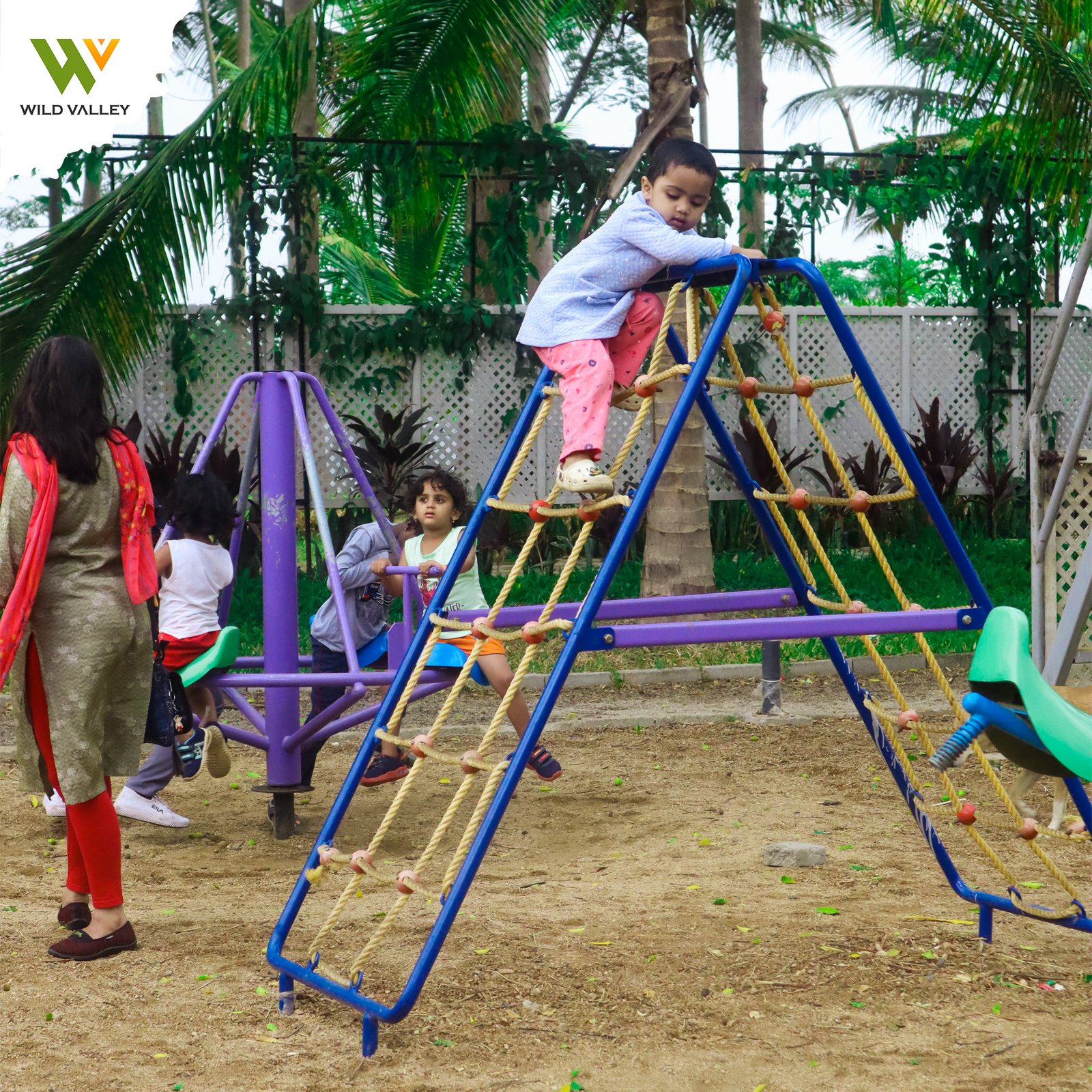 Mountain Bear Day Out