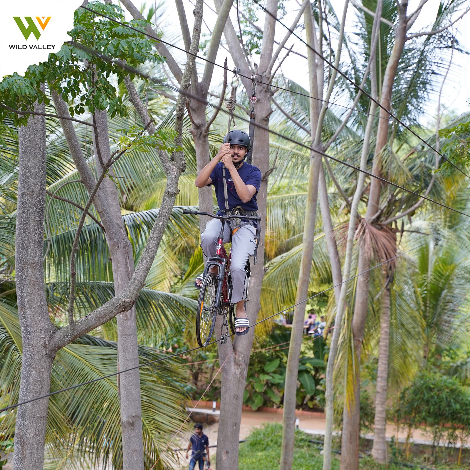 Mountain Bear Day Out