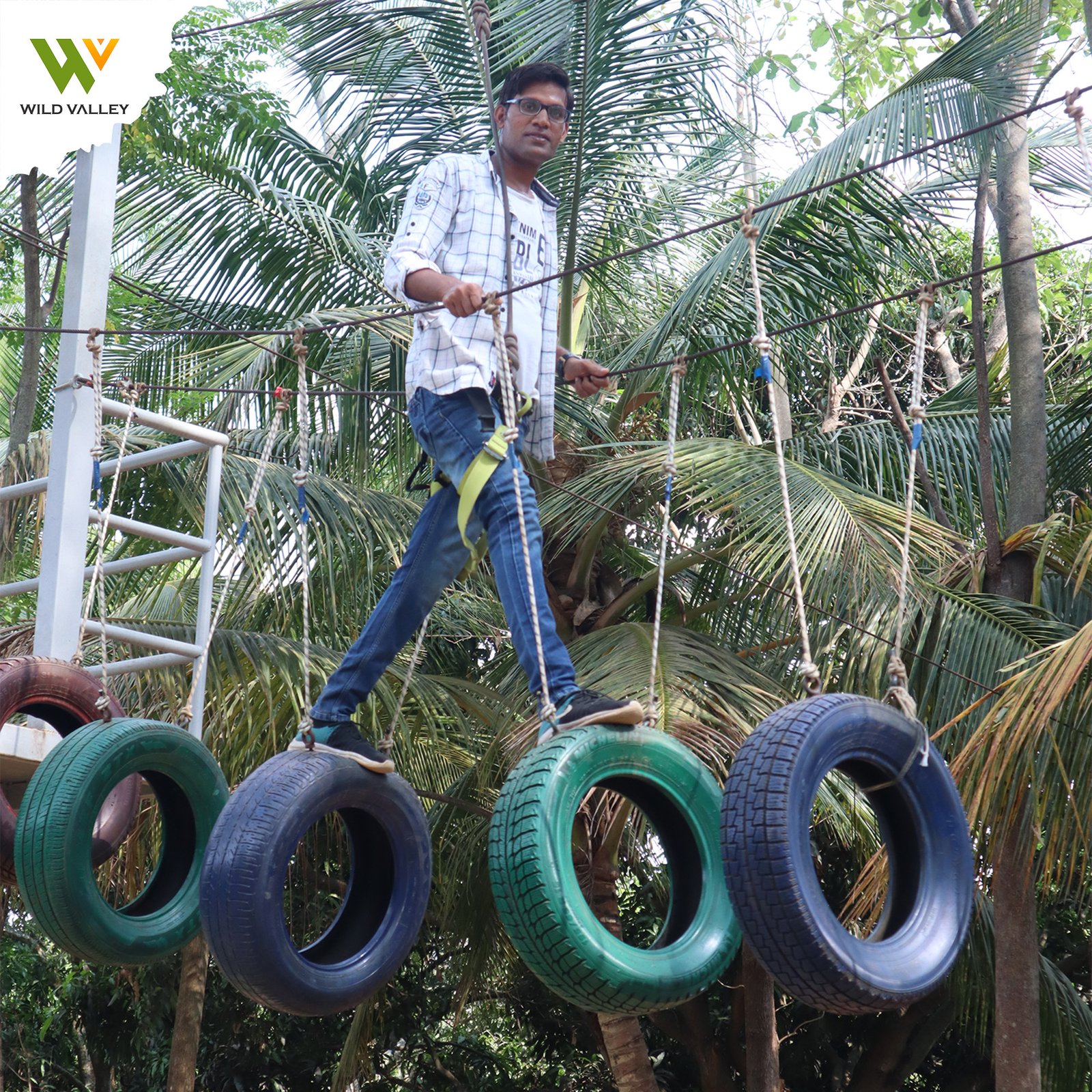 Mountain Bear Day Out