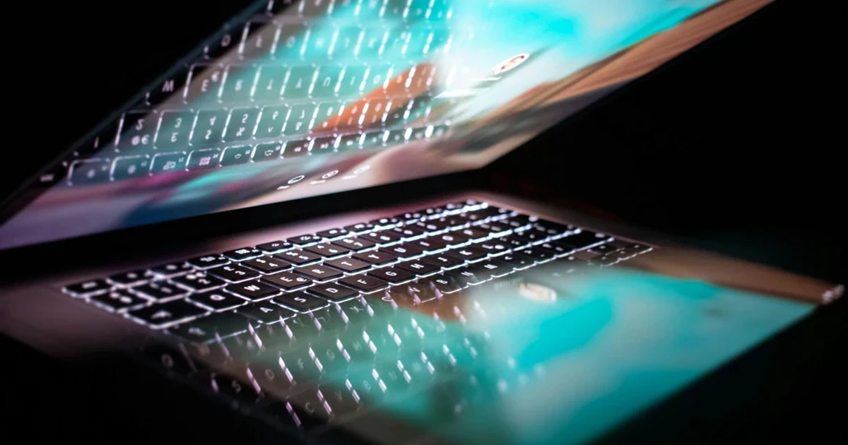 Mountain Bear Day Out