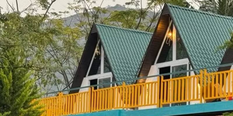 Mountain Bear Day Out1