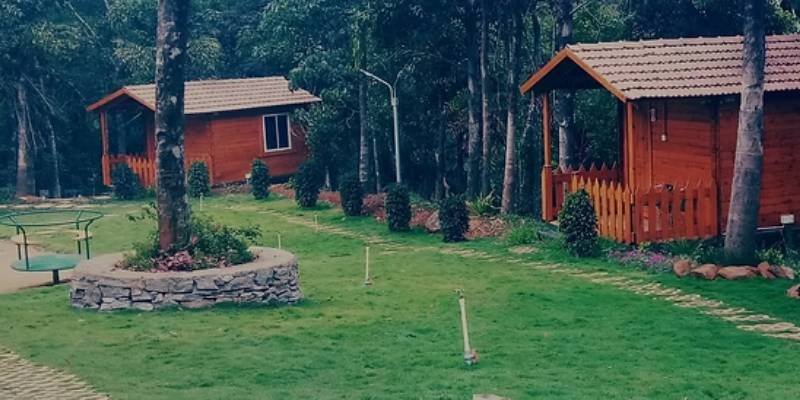 Mountain Bear Day Out