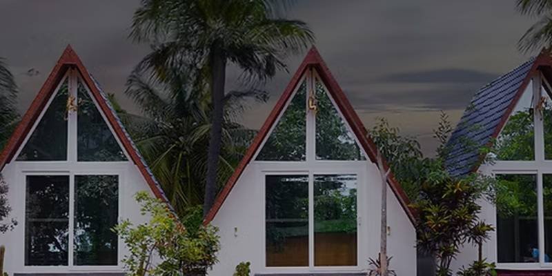 Mountain Bear Day Out1